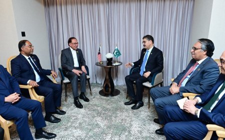 Caretaker Prime Minister Anwaarul Haq Kakar met with his Malaysian counterpart, Anwar Ibrahim, during the Joint Arab Islamic Extraordinary Summit in Riyadh.