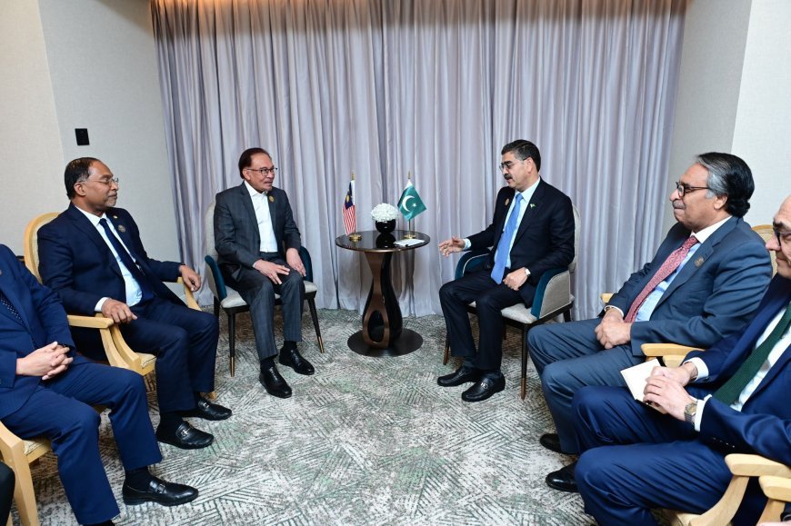 Caretaker Prime Minister Anwaarul Haq Kakar met with his Malaysian counterpart, Anwar Ibrahim, during the Joint Arab Islamic Extraordinary Summit in Riyadh.