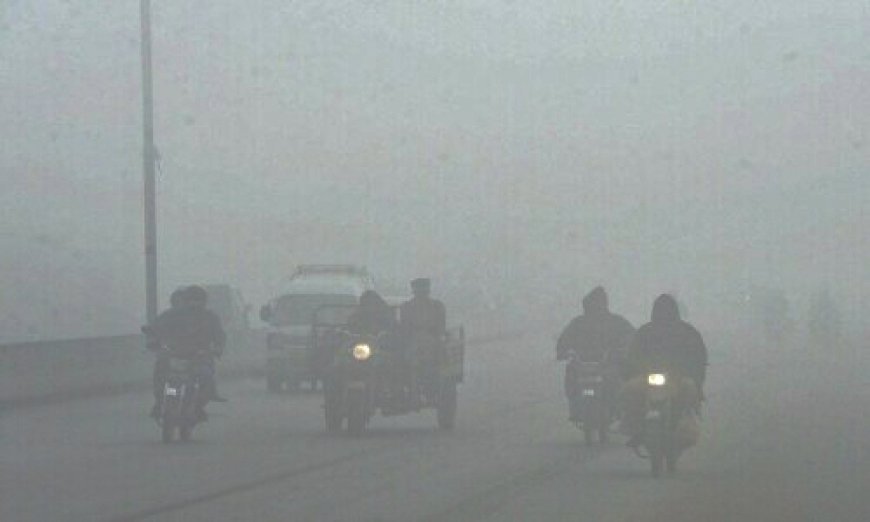 Lahore High Court mandates school closure on November 18, suggests a two-day remote work approach to mitigate smog.