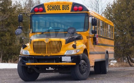 Lahore schools have been directed to offer transportation services to 60% of their students.