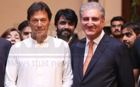 Imran Khan and Shah Mahmood Qureshi have been granted bail in multiple cases.