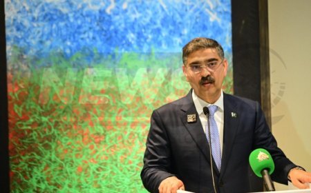 ‘No Negotiations’: Prime Minister Kakar tells terrorists to ‘surrender unconditionally’