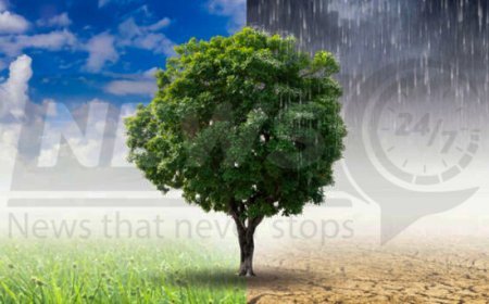 The European Union (EU) and the Agence Française de Développement (AFD) have entered into an agreement for a new climate initiative in the Punjab region.