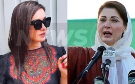 Sanam Javed from PTI will run in the elections as a candidate against Maryam Nawaz.