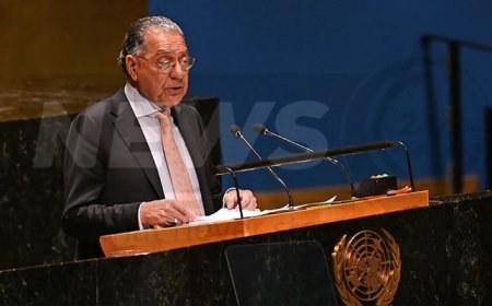 Pakistan calls for a United Nations investigation into the Tehreek-e-Taliban Pakistan (TTP) obtaining sophisticated military equipment.