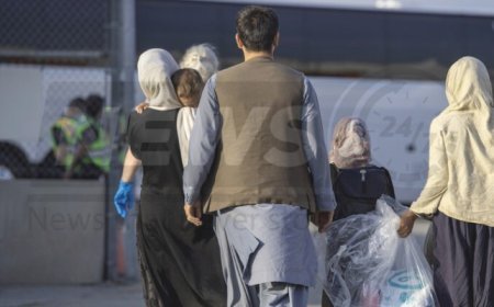 Until now, a total of 453,480 Afghans deemed 'illegal' have departed for Afghanistan.
